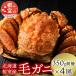 fu.... налог корень . город [ Hokkaido корень . производство ] шерсть ..350g передний и задний (до и после) ×4 хвост C-21005
