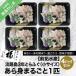 fu.... налог юг ... город [ передний . вода производство ] Awaji Island 3 год .... ах .300g.(4P комплект )