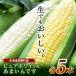 fu.... налог юг тент блок . мир 8 год отправка Hokkaido производство кукуруза чисто-белый 5шт.@&amp;..... 5шт.@ итого 10шт.