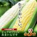 fu.... налог юг тент блок . мир 8 год отправка Hokkaido производство кукуруза чисто-белый 3шт.@&amp;..... 3шт.@ итого 6шт.