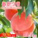 fu.... налог Fukushima город ..[.. есть ].. для примерно 1.7kg[2026 год адресат line прием ]No.2343