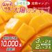 fu.... налог запад город солнце. tamago2~3 шар запад город специальный продукт Miyazaki префектура производство .. манго [ предшествующий прием ][2193]