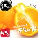 դ뤵Ǽ Į   β 4.5kg M-4L ޤmis012A