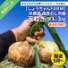 fu.... налог юг ... город [ новый шар предшествующий прием ][... Chan FARM] Awaji Island юг ... город производство шар лук порей 3kg. сырой * рассылка 5 месяц ~