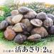 fu.... налог камень шт город камень шт * десять тысяч камень .. ....(2kg) молодь жёсткой ракушки ... натуральный .plipli гарнир тест .. песок вытащенный 