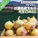 fu.... налог юг ... город Awaji Island производство шар лук порей свет шар 3 kilo 