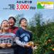 դ뤵Ǽ Į ѥåȾ ߤ 3000ʬ