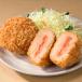 դ뤵Ǽ  å 󤿤å 1.6kg 80g20(10ġ2) [No5354-0009]