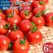 դ뤵Ǽ ں Լա۴ϥեƥȥޥ(̥2kg3Ȣ) ߥǥȥޥȡR00631