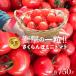 fu.... налог . юг город [2026 год предварительный прием ] удар. один шарик!! вишня мини помидоры ( маленький ..) примерно 750g H004-172