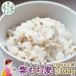 fu.... налог восток Shirakawa . восток Shirakawa . производство фиолетовый мочи муги большой simochi пробный 300g 150g×2 пакет 