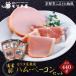 fu.... налог Kyoto city [ Kyoto Morita магазин ] Morita магазин ветчина * бекон комплект | Kyoto готовый продукт популярный гурман 