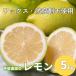 դ뤵Ǽ 칭 åԻѤ餴ȻȤ5kg:9ܡ4ܡ