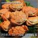 fu.... налог корень . город [ Hokkaido корень . производство ]kligani14~18 хвост ( итого 3kg передний и задний (до и после) ) A-57062