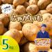 fu.... налог .. блок картофель 5kg(tejima)