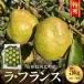 fu.... налог река север блок [. мир 8 год производство ] еда . примерно . понимать! груша обыкновенная [la* Франция ] Special превосходящий примерно 5kg Yamagata префектура река север блок производство 