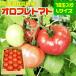 fu.... налог .. блок &lt;2026 год 3 месяц сверху ... последовательный доставка &gt;orofre помидор 18 шар ввод (L размер ) SBTA029