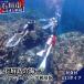 fu.... налог камень . город MP-2 Ishigakijima. море . вентилятор дайвинг использование талон 1 день 3 большой b
