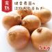fu.... налог .. город .. сельское хозяйство .. .. Awaji Island производство шар лук порей 5kg ak29807