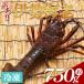 fu.... налог . юг город Исэ город море . рефрижератор итого 750g(1~3 шт ) - местного производства суп мисо креветка .. морепродукты прямая поставка от производителя eb-0005