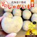 fu.... налог . Muromachi [ есть перевод ] Hokkaido Tokachi . Muromachi сельское хозяйство дом отвечающий . картофель (. зима )5kgkita красный li( маленький шар )