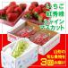 fu.... налог Yamagata город [ установленный срок рейс 3 раз ]* фрукты королевство Yamagata *[ клубника,. превосходящий ., автомобиль in мускат ] FZ26-817