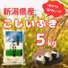 �ӂ邳�Ɣ[�� �����s �y�ߘa7�N�Y�z�V���Y �������Ԃ� 5kg ���� ����