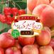 fu.... налог Yamagata город [ установленный срок рейс 3 раз ] Yamagata целиком! популярный .. было использовано лучший 3[ пробный рейс ] FZ25-957