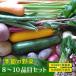 fu.... налог Seto внутри город сезон. овощи 8~10 товар комплект культивирование период средний нет пестициды химия удобрение не использование [No.5735-2019]