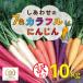 fu.... налог . юг город ( предварительный заказ прием )[ время ограничено ]( есть перевод ) радужный красочный морковь 10kg колокольчик . сельское хозяйство .H022-018
