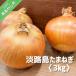 fu.... налог юг ... город Awaji Island лук 3kg * рассылка 5 месяц средний .~ следующий год 2 конец месяца примерно 