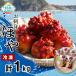 ふるさと納税 陸前高田市 お刺身用 冷凍 ほや 200g×5袋 ホヤ 海鞘 珍味 おつまみ 小分け 人気 海産物 海鮮