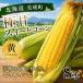 fu.... налог прекрасный . блок [ предшествующий предварительный заказ ] Hokkaido кукуруза ( желтый цвет )8шт.@ Yellow corn . мир 8 год производство ....