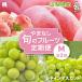 fu.... налог Yamanashi город [ отправка месяц фиксация установленный срок рейс ].. нет .. фрукты установленный срок рейс ( персик * автомобиль in мускат )[M] все 2 раз 