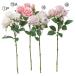  искусственный цветок .... товар rose ×3...×2 интерьер интерьер цветок поддельный цветок шелк цветок интерьер зеленый материалы для цветочной композиции Aska ASCA Aska association 