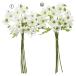  искусственный цветок .... товар цветок Bunch (1 пачка 6шт.@) интерьер интерьер цветок поддельный цветок шелк цветок интерьер зеленый Aska ASCA Aska association 