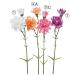  искусственный цветок .... товар гвоздика ×2 розовый белый orange фиолетовый лиловый белый День матери a-tifi автомобиль ru цветок интерьер весна Aska ASCA Aska association 