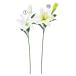  искусственный цветок .... товар Casablanca ×1...×1 Casablanca Casablanca lily 100 ... лилия большой колесо лилия белый 100 .lili.- Lilly DIY Aska ASCA Aska association 
