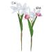  искусственный цветок .... товар Cattleya ×2 Cattleya Cattleya Ran . Ran орхидея a-tifi автомобиль ru цветок интерьер интерьер цветок материалы для цветочной композиции Aska ASCA Aska association 