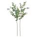  искусственный цветок зеленый .... товар эвкалипт интерьер искусственная зелень детали интерьер цветок поддельный цветок шелк цветок Aska ASCA Aska association 