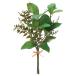 [P5 раз средний 12/02 09:59 до ] зеленый искусственный цветок букет .... товар Mix leaf Bunch интерьер искусственная зелень детали материалы для цветочной композиции материалы Aska ASCA Aska association 