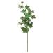  искусственный цветок зеленый .... товар ivy интерьер искусственная зелень детали интерьер цветок поддельный цветок шелк цветок Aska ASCA Aska association 