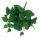  искусственный цветок зеленый .... товар pothos втулка интерьер искусственная зелень детали интерьер цветок поддельный цветок материалы для цветочной композиции материалы Aska ASCA Aska association 