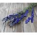{ dry flower material for flower arrangement }* the same day shipping *Coretrading Delphi e new m* natural blue dry flower swag bouquet bouquet lease 