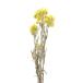 сухой цветок материалы для цветочной композиции в тот же день отгрузка дыра Harris натуральный желтый желтый цвет материалы для цветочной композиции материал ... детали swag букет букет lease украшение для волос . core trailing 