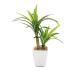 { fake green decorative plant }*.... goods * twin dracaena Mini pot decorative plant . leaf . fake green leaf stylish Nankoku manner interior 