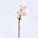  искусственный цветок .... товар . гора Sakura Sakura Sakura Sakura весна Cherry bro Sam интерьер интерьер цветок поддельный цветок шелк цветок интерьер зеленый 