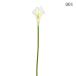  искусственный цветок .... товар цвет Lilly (S) цвет Lilly цвет lili. море клубень ... белый "теплый" белый слоновая кость крем лето лето. цветок лилия интерьер весна 