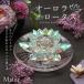  интерьер произведение искусства в тот же день отгрузка Aurora Lotus * 12cm Rainbow crystal - s лотос стекло "ловец солнца" интерьер украшение произведение искусства ... первый поддон 