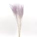  сухой цветок материалы для цветочной композиции в тот же день отгрузка [40%OFF] GPigsa лиловый ( ограниченное количество ) материалы для цветочной композиции материал детали интерьер незначительный фиолетовый легкий ....